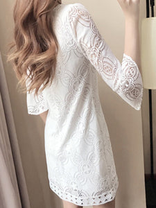 Round Neck  Lace  Lace Shift Dress