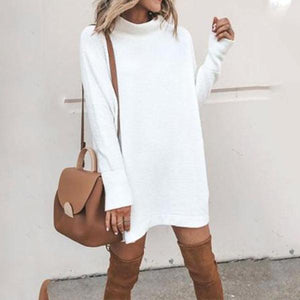 High Neck  Plain  Long Sleeve Casual Dresses