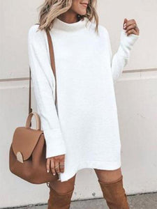 High Neck  Plain  Long Sleeve Casual Dresses