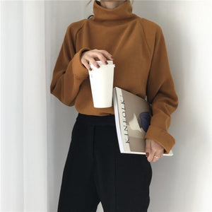 Casual High Collar Solid Color Raglan Sleeve Long Sleeve Sweater