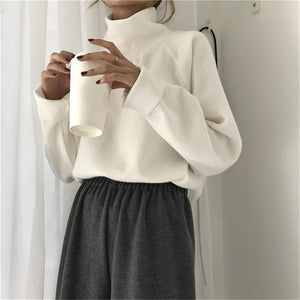 Casual High Collar Solid Color Raglan Sleeve Long Sleeve Sweater