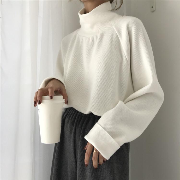 Casual High Collar Solid Color Raglan Sleeve Long Sleeve Sweater