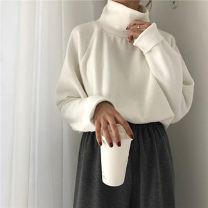 Casual High Collar Solid Color Raglan Sleeve Long Sleeve Sweater