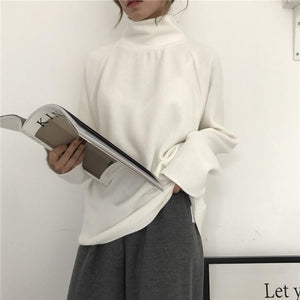 Casual High Collar Solid Color Raglan Sleeve Long Sleeve Sweater